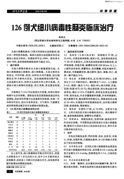 细小病毒的治疗(有哪些方法可以试试)