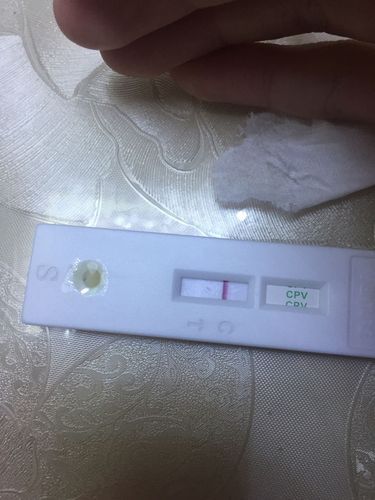 细小试纸(试试用细小试纸测一测)