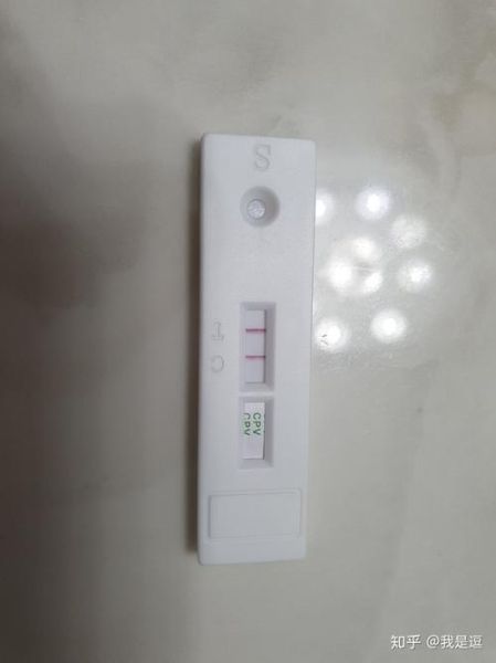 细小试纸(试试用细小试纸测一测)