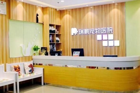 经营宠物医院(怎样才能避免亏本)