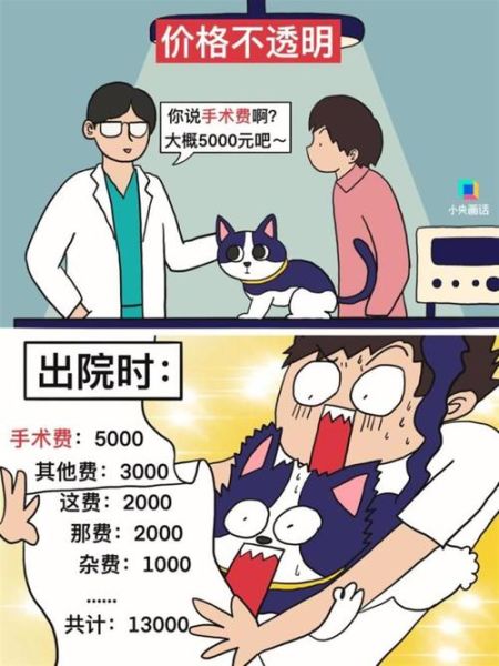 经营宠物医院(怎样才能避免亏本)