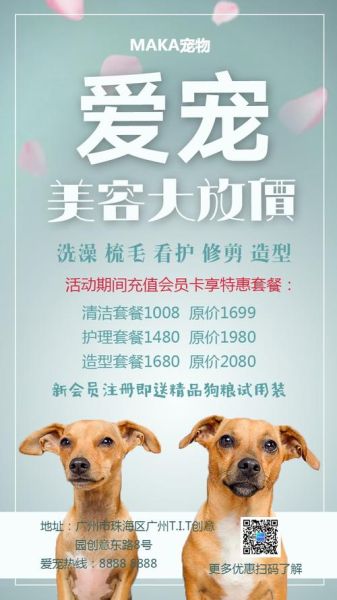 经营宠物护理店( 怎么才能吸引更多宠物主人上门)