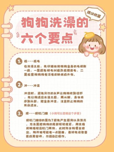给宠物洗澡(哪种洗的更干净)