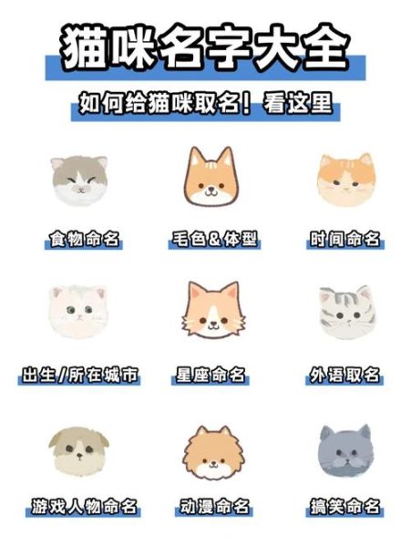 给狗起名字(到底该怎么选)
