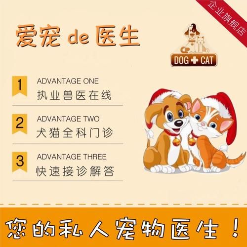 网上宠物医院咨询(网上宠物医院咨询靠谱吗)