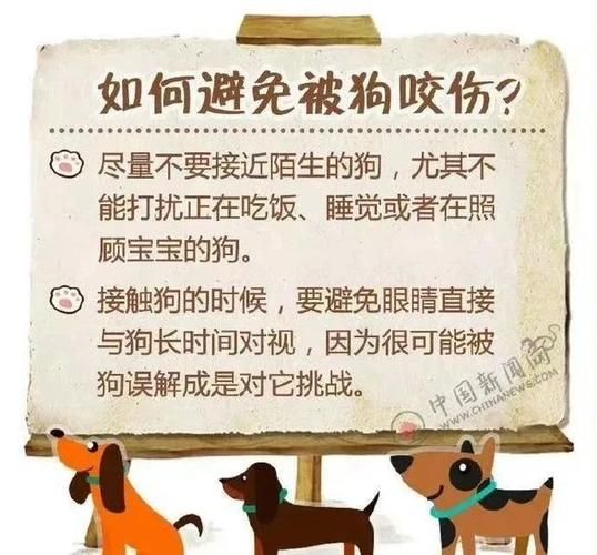 罗威纳咬人( 如何才能避免再出现伤人事件)