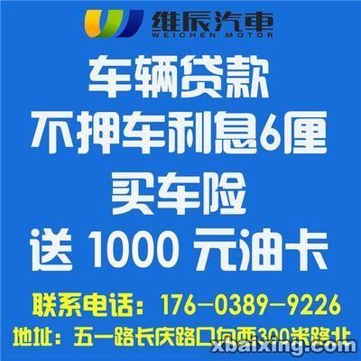 羊驼在哪能买到(靠谱的购买渠道有哪些)
