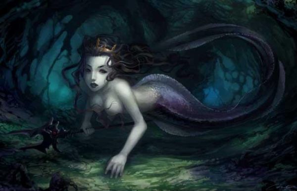 美人鱼指的是哪种鱼( 它长得像什么鱼)