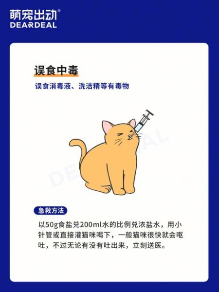 老鼠药能毒死猫吗(怎么才能救它)