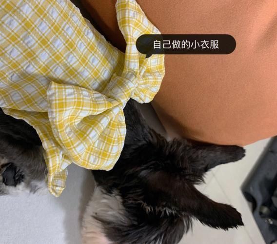 耳立(主办方和观众该如何面对这场意外)