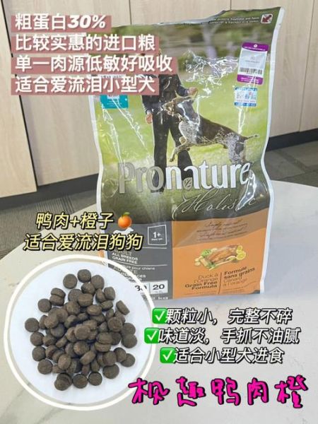 自制犬粮(真的比狗粮营养吗)