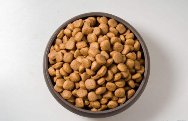 自制猫粮(哪种食材最受欢迎)