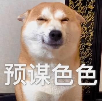 色狗图片(这是色狗还是狗贼)