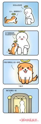 色狗狗网(答案就在这里)