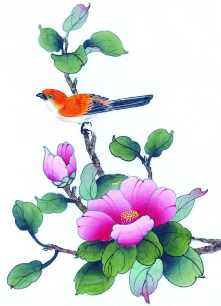 花鸟虫鱼网(能带给你什么启发)