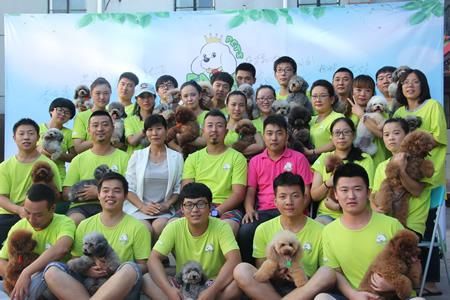 苏州宠物美容学校(能学会多少技能)