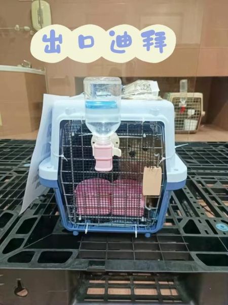 茶杯贵宾价格( 买一只茶杯贵宾犬需要多少钱)
