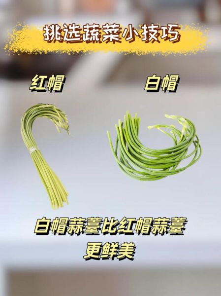 菜兔(怎么挑选才更好吃)