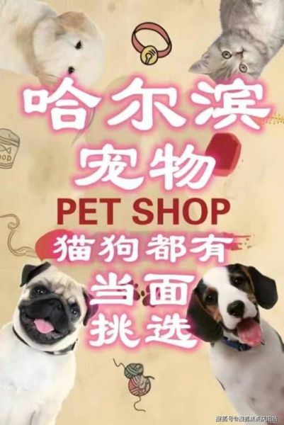 萨摩耶犬价格(怎么区分品质好坏)