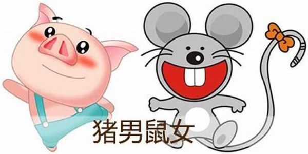 葵鼠(它跟猪又有什么关系)