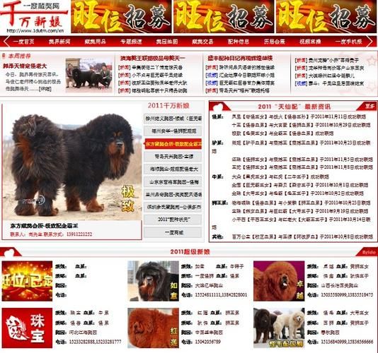 藏獒交易(背后的故事是什么)