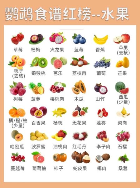 虎皮鹦鹉吃什么(水果蔬菜都行吗)