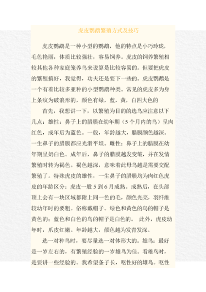 虎皮鹦鹉怎么养粘人(怎样才能让它更喜欢你)