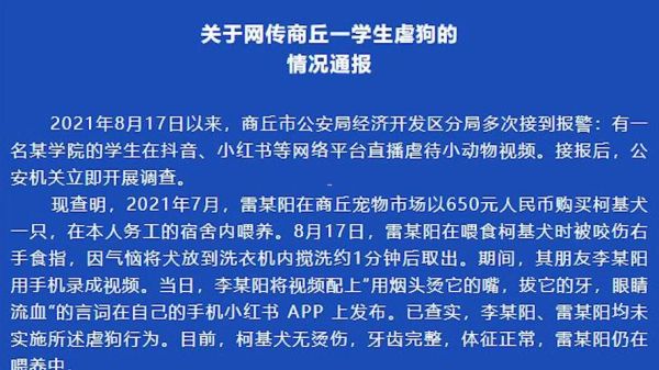 虐狗事件狗主人发声(是谁在负责治疗)