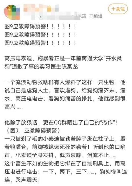 虐狗事件狗主人发声(是谁在负责治疗)