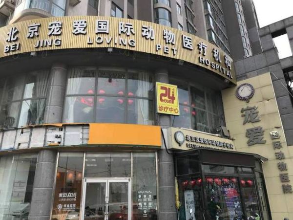 虹口宠物医院(虹口区哪家宠物医院最专业)