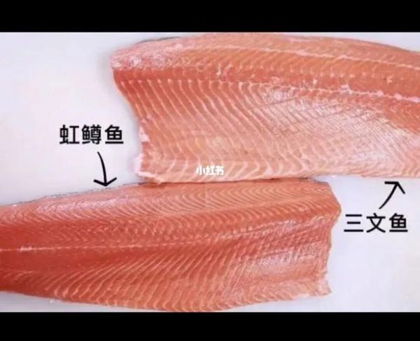 虹鳟鱼和三文鱼的区别(到底哪个更好吃)