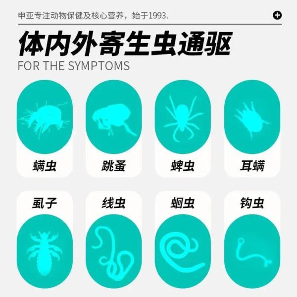 蜱虫咬死狗(驱虫药真的有用吗)