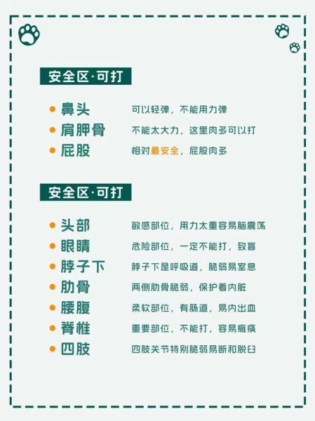 蝴蝶犬( 到底应该怎么喂养它)