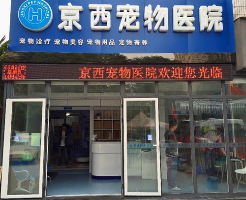 西安北郊宠物医院(哪家技术水平高)