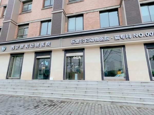 西安宠物医院(哪家治疗效果更好)