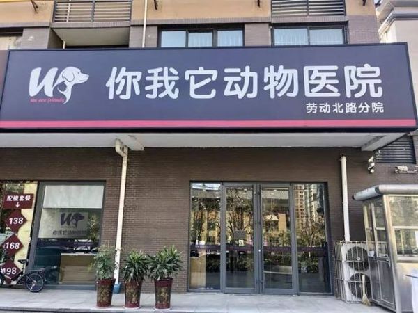 西安宠物医院(哪家治疗效果更好)