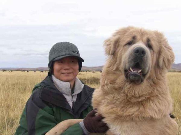 西巴犬(养它需要什么准备)