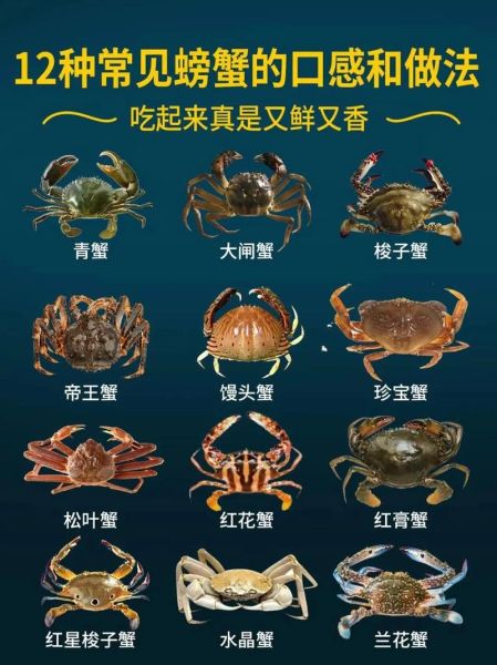 观赏蟹种类(恶魔蟹和辣椒蟹有什么区别)