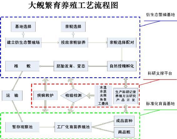 观赏鱼繁殖(准备工作怎么做)