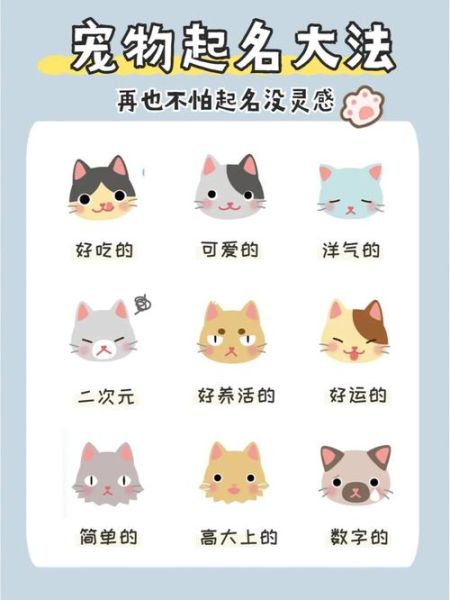训宠网(怎样才能起个简单好记的名字呢)