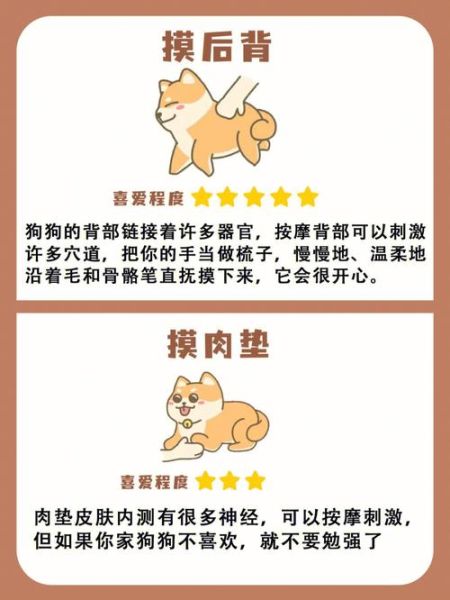 训犬教程( 原来教狗狗就这么简单)