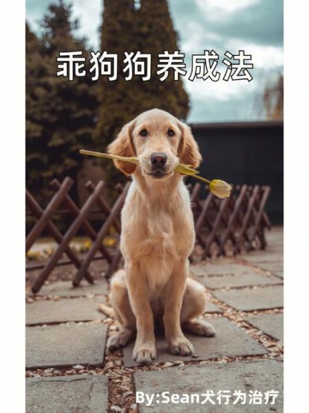 训狗(可以自己解决吗)