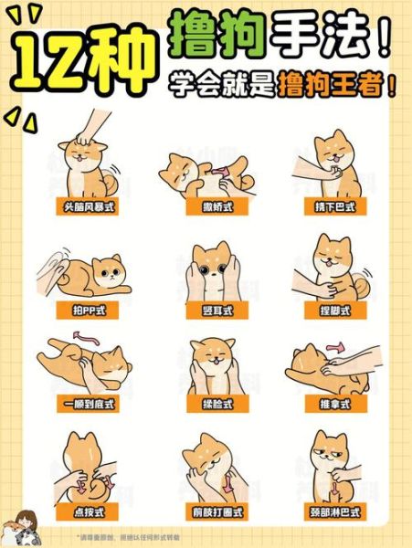 训狗(可以自己解决吗)