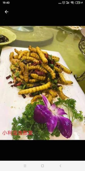 豆青虫( 豆青虫怎么吃才最美味)