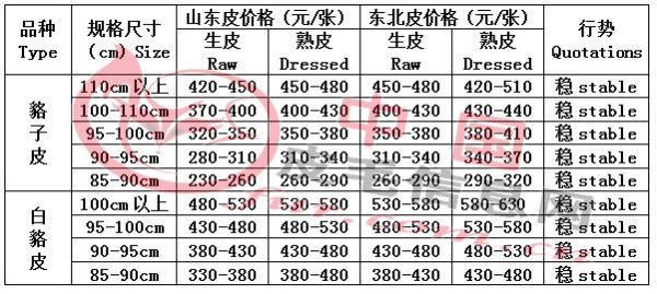 貉子行情(怎么才能卖出好价钱)