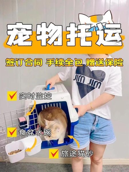购买宠物(应该注意什么才能避免踩雷)