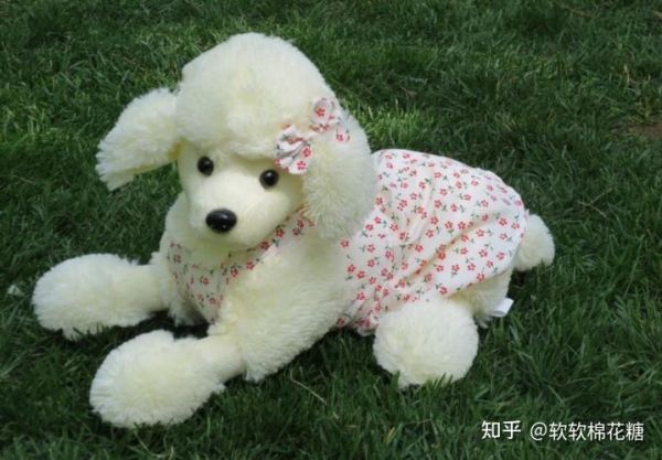 贵妇人犬(养它是不是很贵)