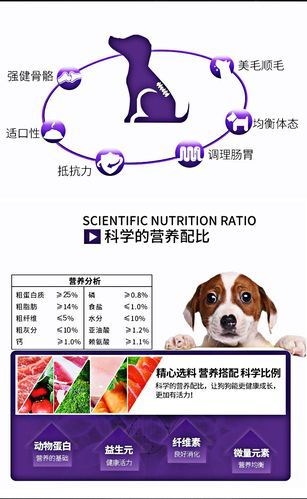 贵族狗粮官网(官网是最好的选择吗)