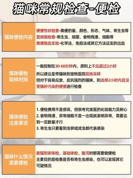赶猫(赶猫技巧了解一下)