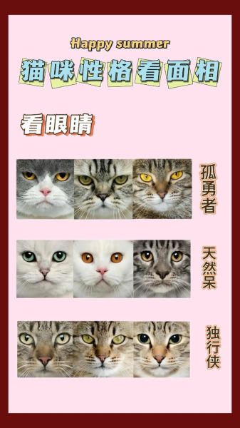 赶猫(赶猫技巧了解一下)